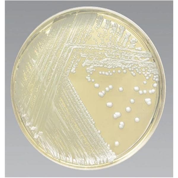 Culture Mycobiotic Agar 26mL Monoplate Deep Pour 10/Pk