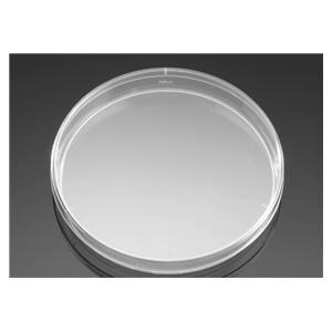 Falcon Bacteriological Petri Dish Polystyrene 150x15mm 100/Ca
