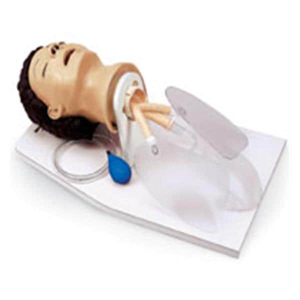 Life/form Head Airway Management Adult Trainer Ea