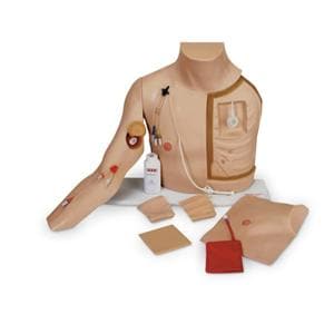 Chester Chest Catheterization Trainer Ea