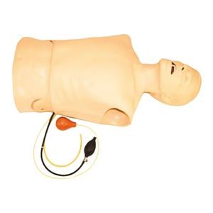 Torso/Airway Training Manikin Ea