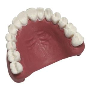 Manikin Teeth MegaCode Kelly Teeth Replacement Ea