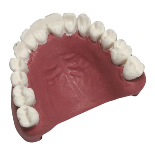 Manikin Teeth MegaCode Kelly Teeth Replacement Ea