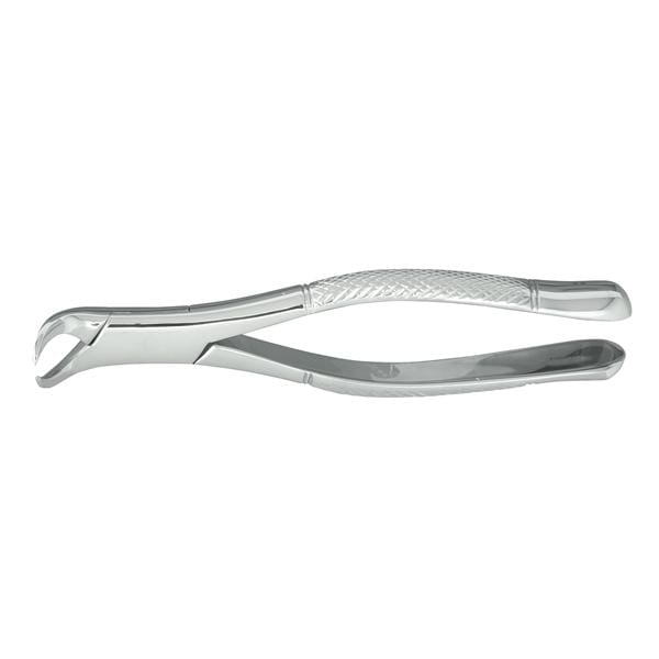 Extracting Forceps Size 23 Lower Molars Cowhorn Ea