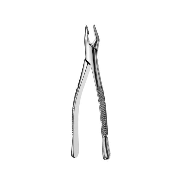 Extracting Forceps Apical Upper Universal Ea