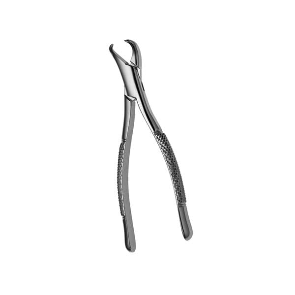 Extracting Forceps Size 23S Cow Horn 1st And 2nd Molars Pedo Ea