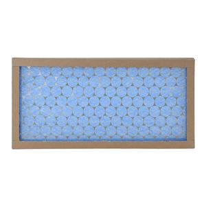 60C Polishing Unit Replacement Polyester Filters 2/Pk