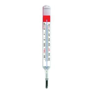 Geratherm Patient Thermometer 100/Ca
