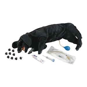 Life/form Training CPR Dog Ea