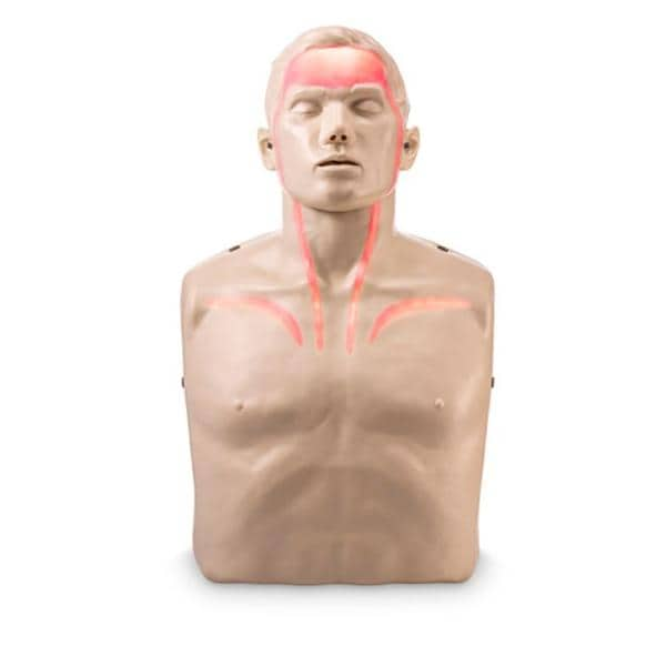 Brayden Torso/Head CPR Training Manikin Ea