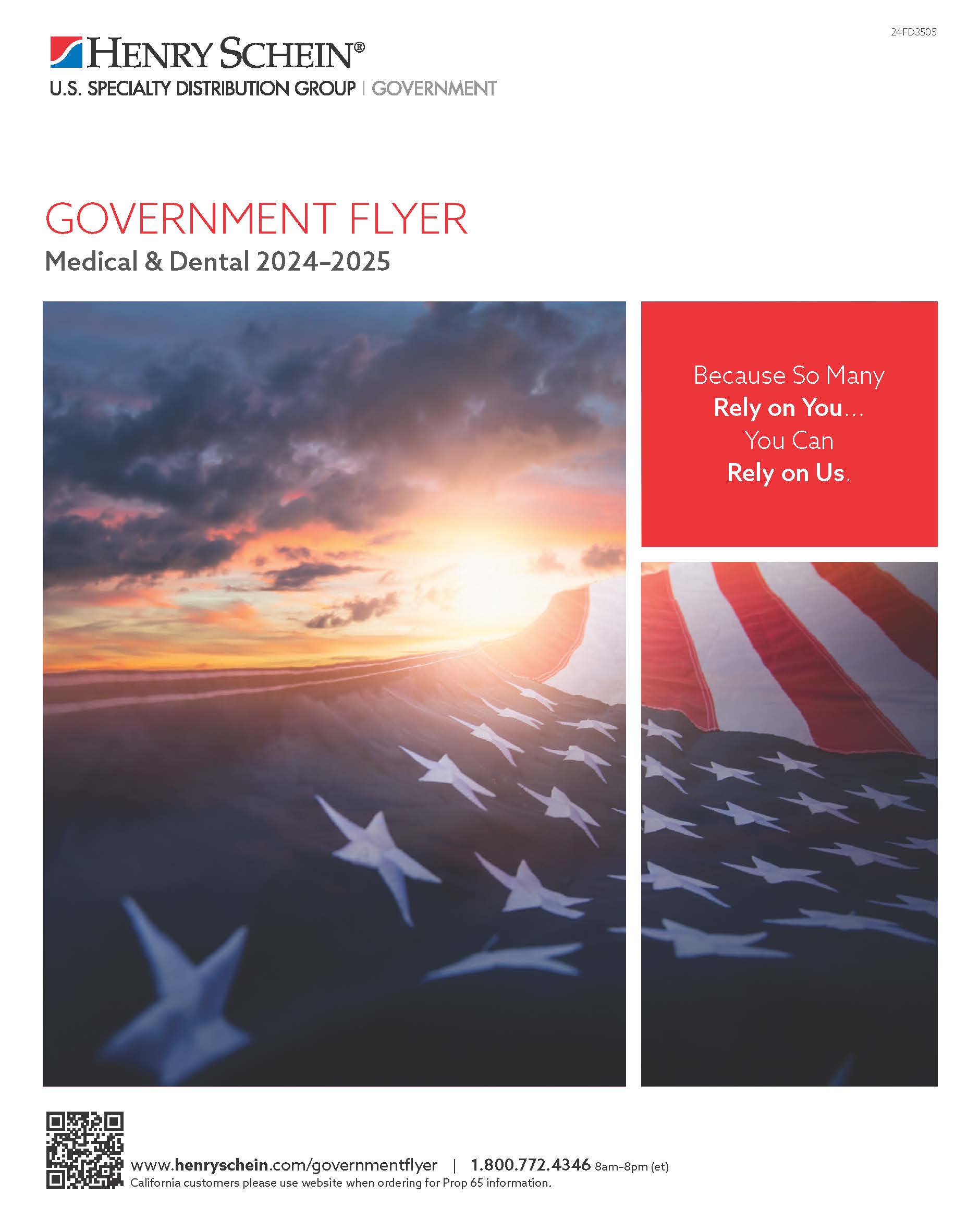 Government Flyer