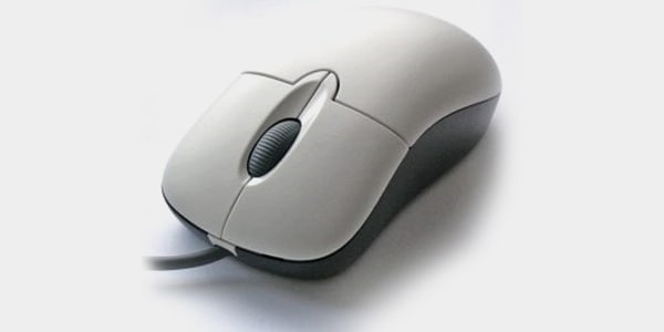 Traditional Computer Mouse
